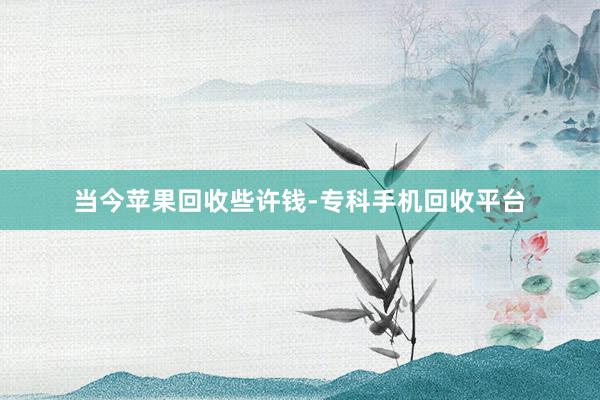 当今苹果回收些许钱-专科手机回收平台
