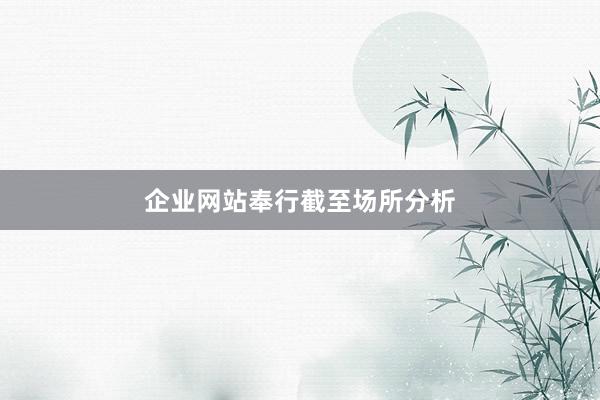 企业网站奉行截至场所分析