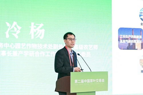 第二届中国茶叶交易会正式启动 技术推广服务助力茶业渠道拓展与市场振兴